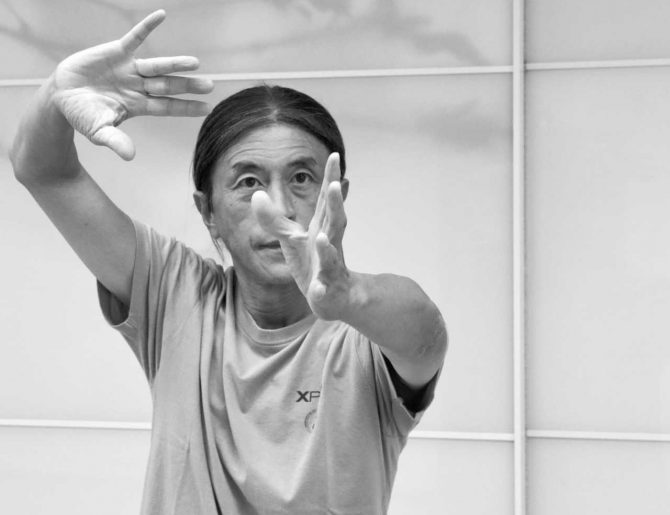 Paul-Woo-Fon-Cours-Tai-chi- Paul-Woo-Fon-Cours-Tai-chi-